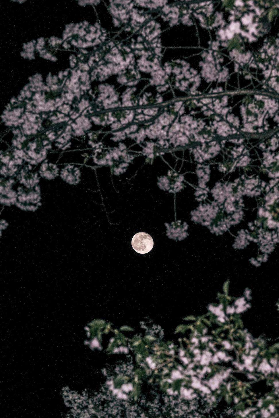 Custom occult-inspired design