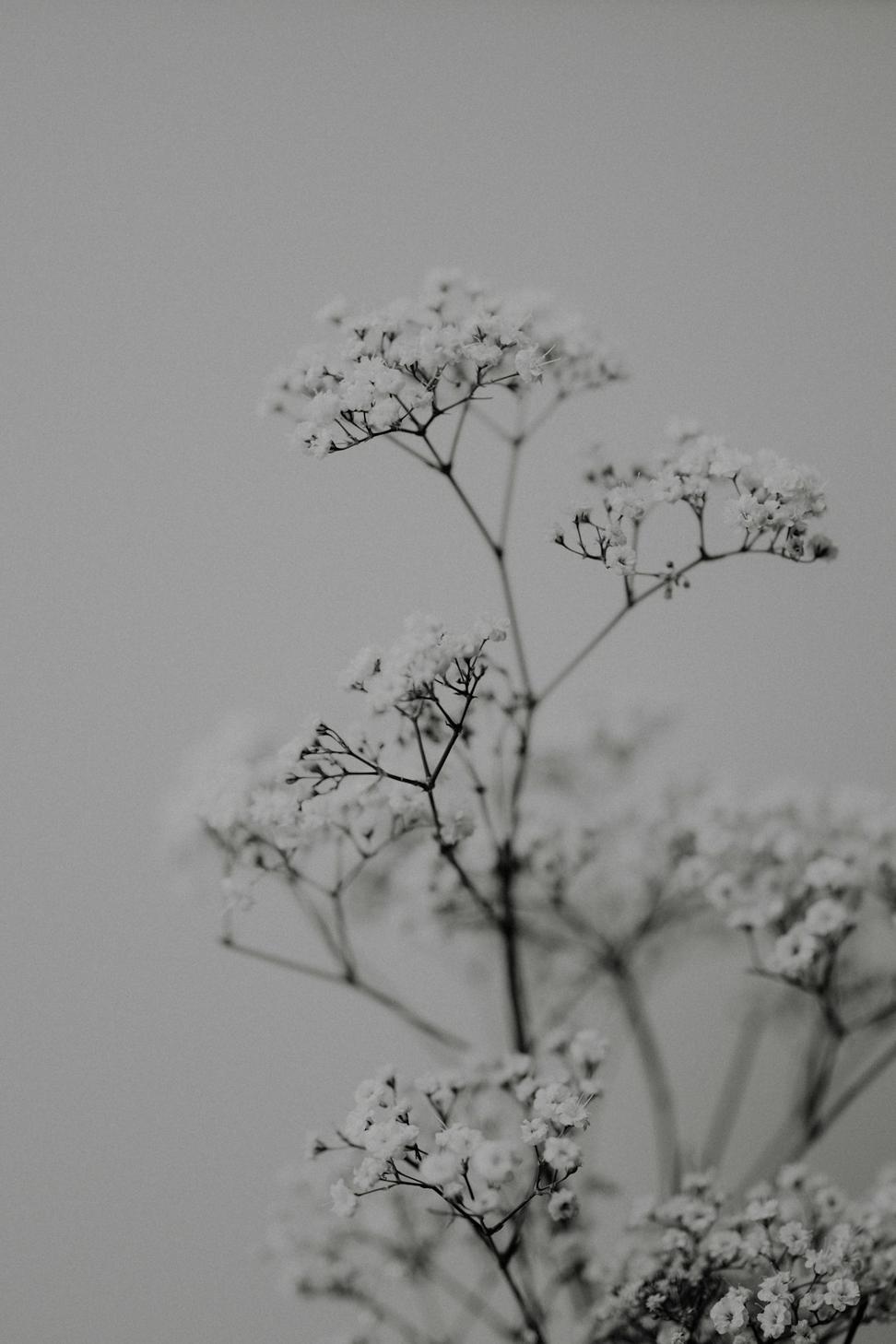White and grey moon-themed arrangement